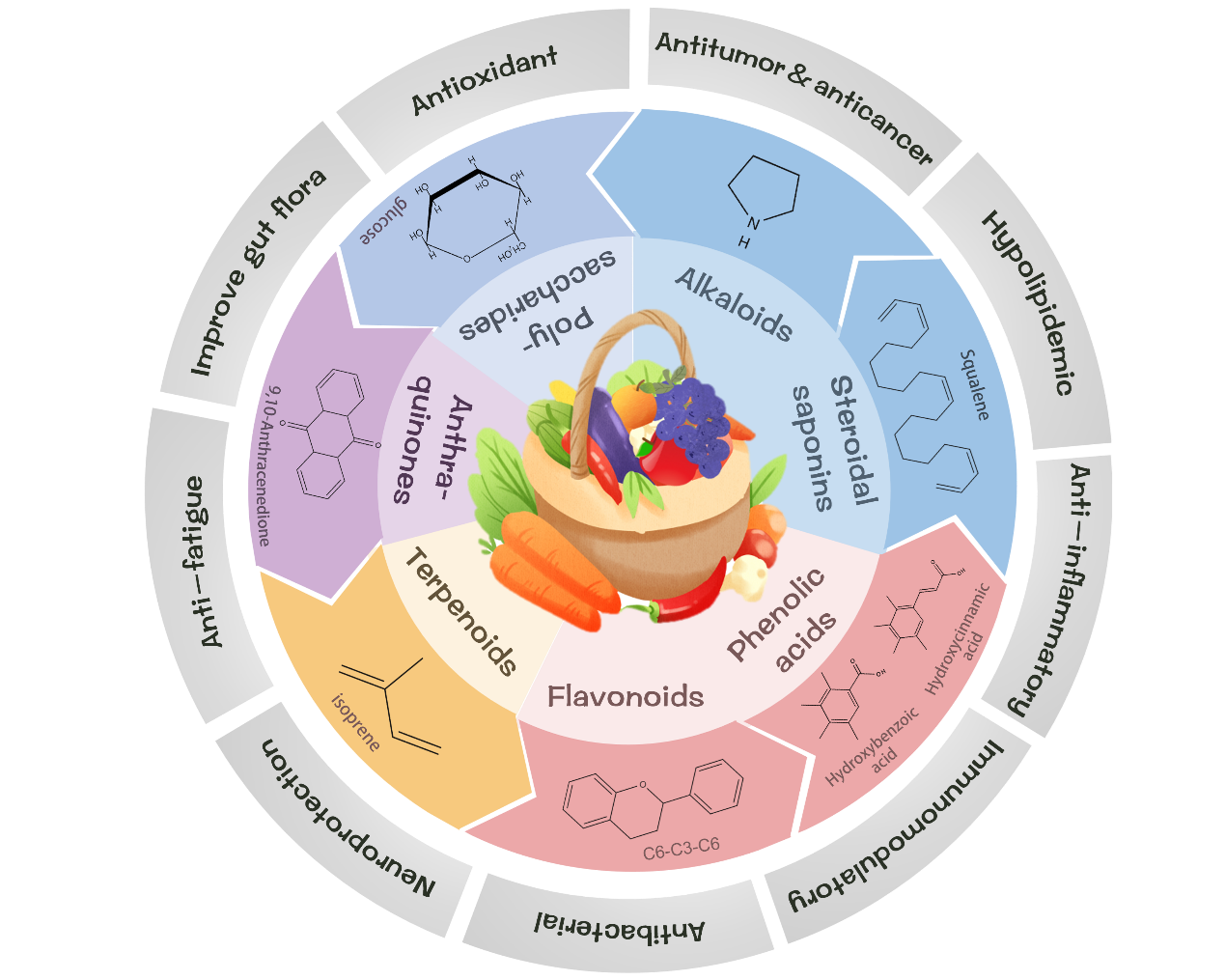 Figure 1. Bioactive components and their functions of fruits and vegetables